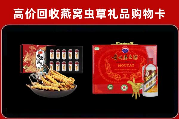 炎陵回收冬虫夏草